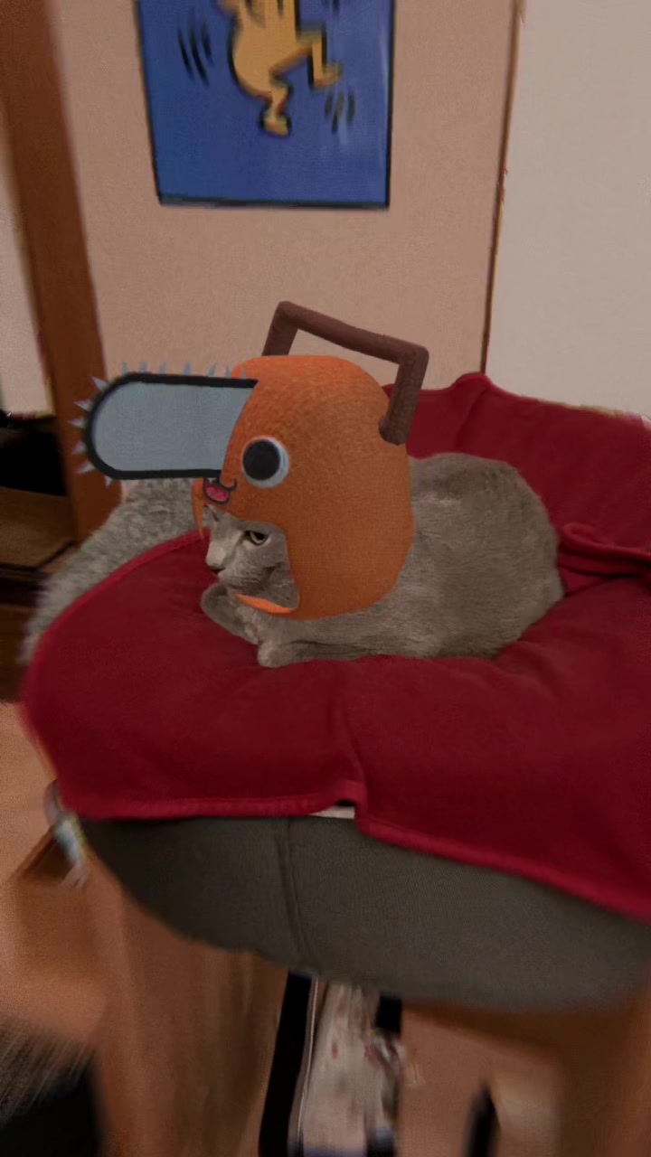 @carbuncle20190515