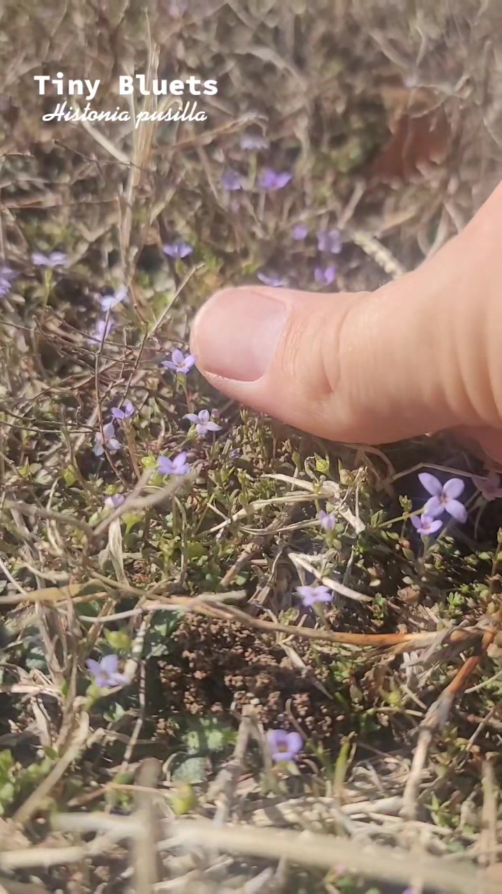@ThatOKBiologist