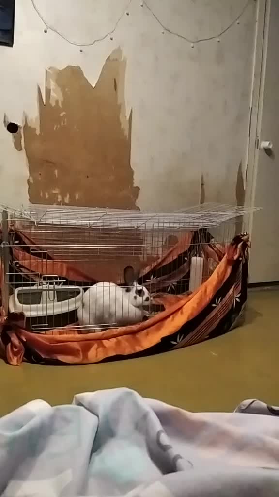 @просто настя