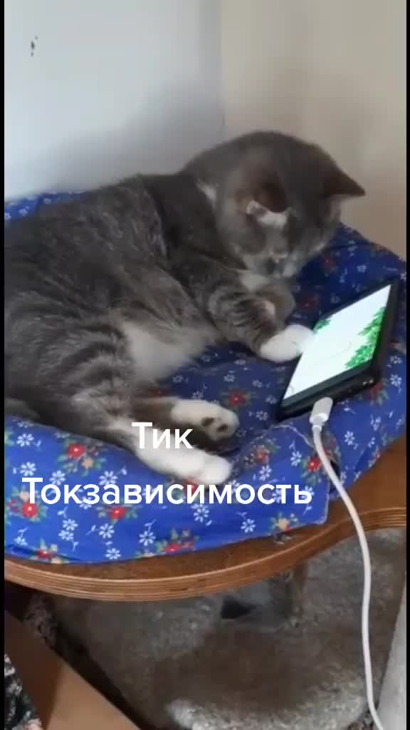 @user210029 фëдор