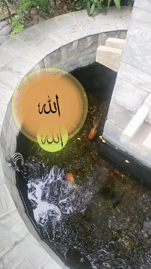 @user57965760525