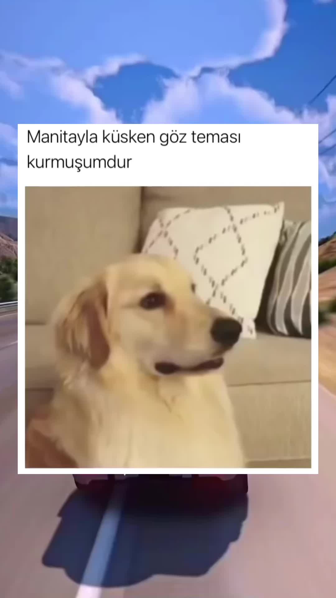 @funnypeopple