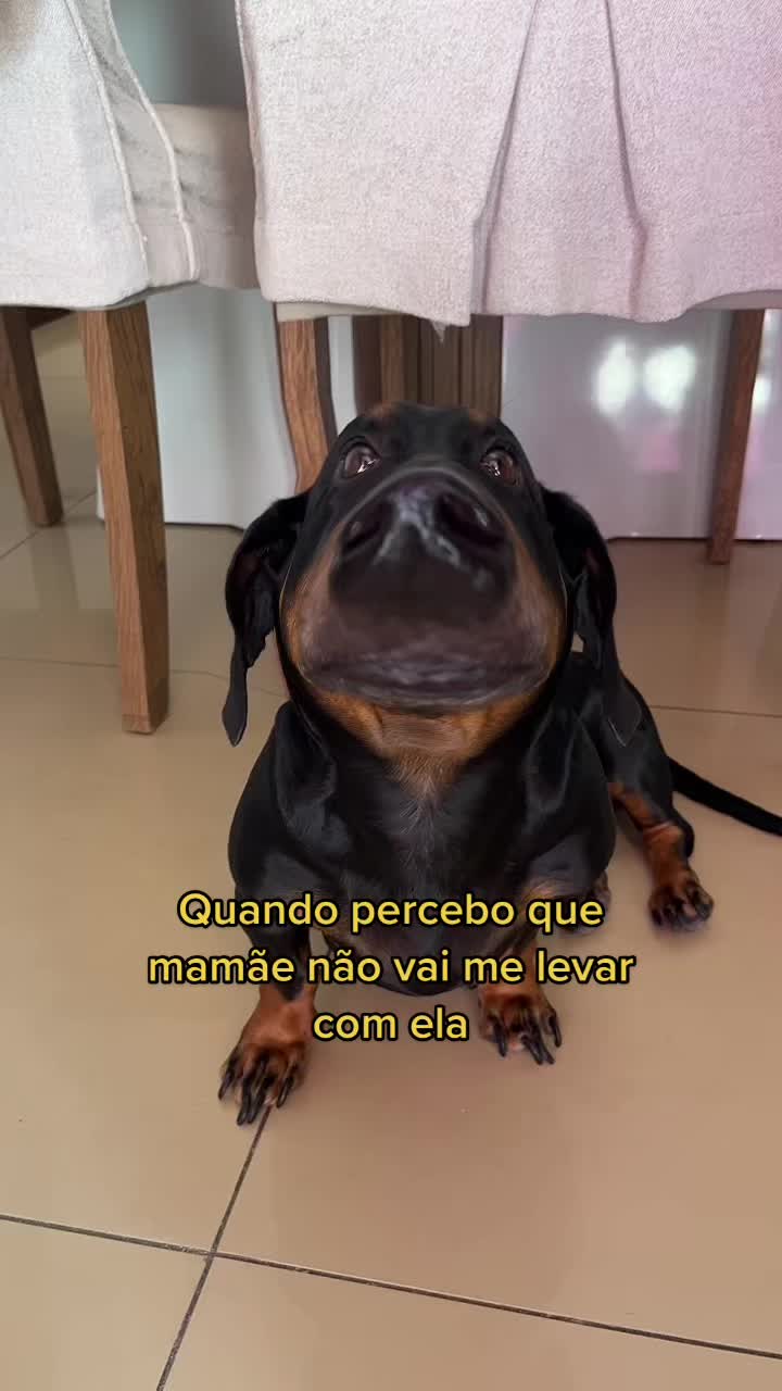@Hagatha Bento