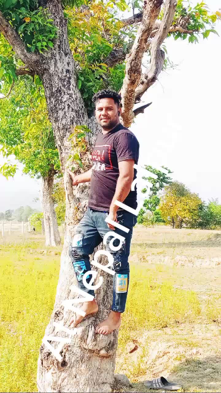 @Amitkoli590