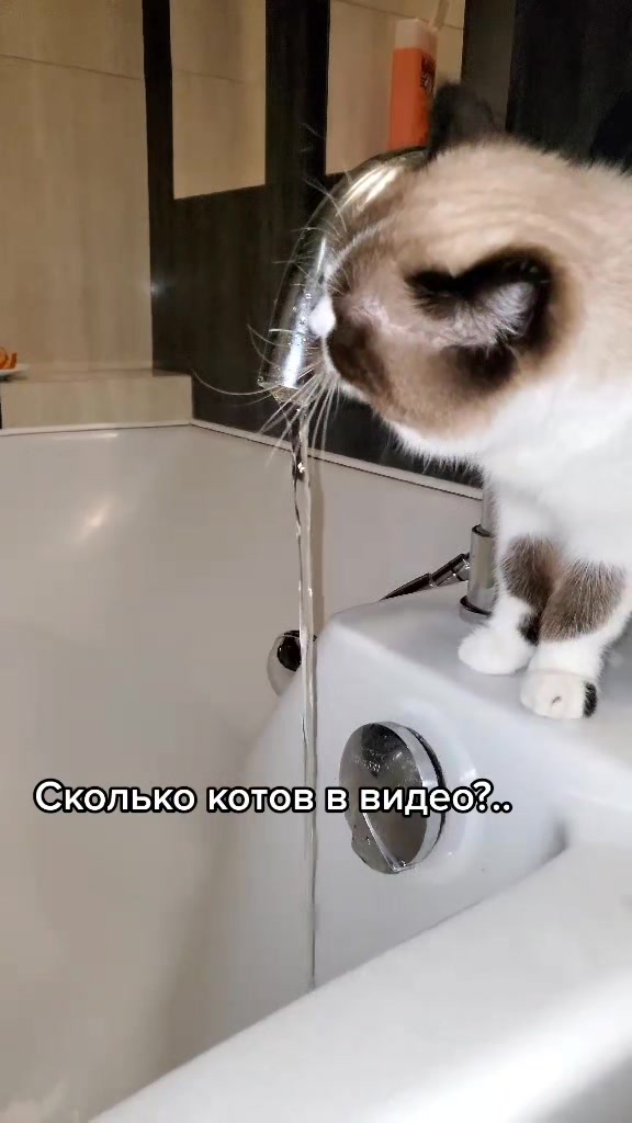 @Кот Клякса