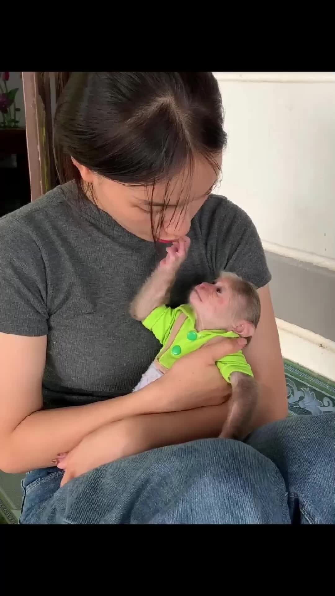 @Cute monkey