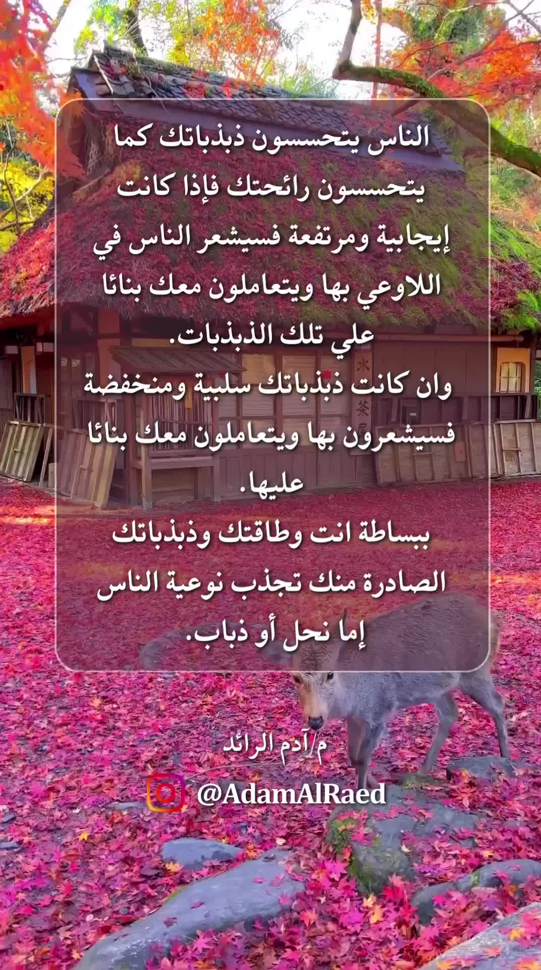 @AdamALRaed