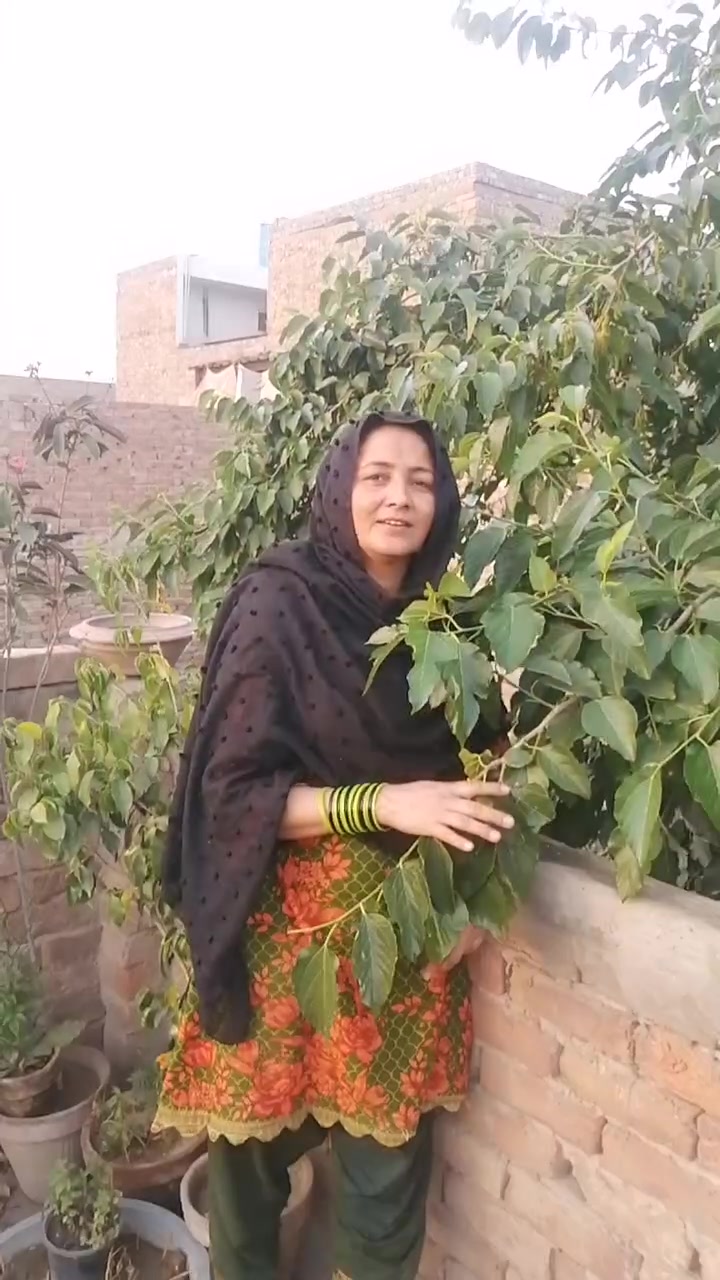 @user96958560059