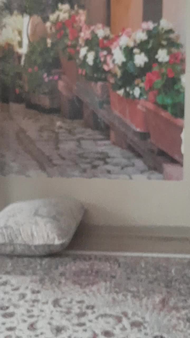 @Паучок