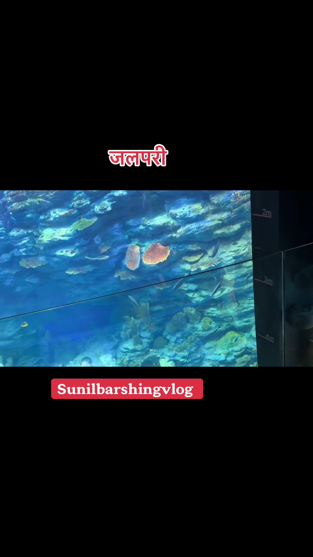 @YouTube_sunilbarshingvlog