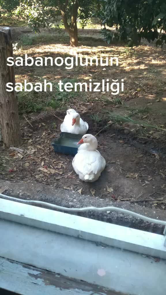 @Sensiz olmuyor