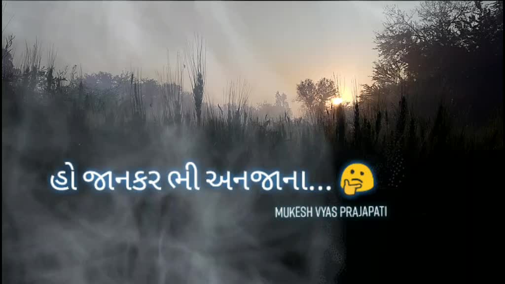 @Mukesh VyasPrajapati