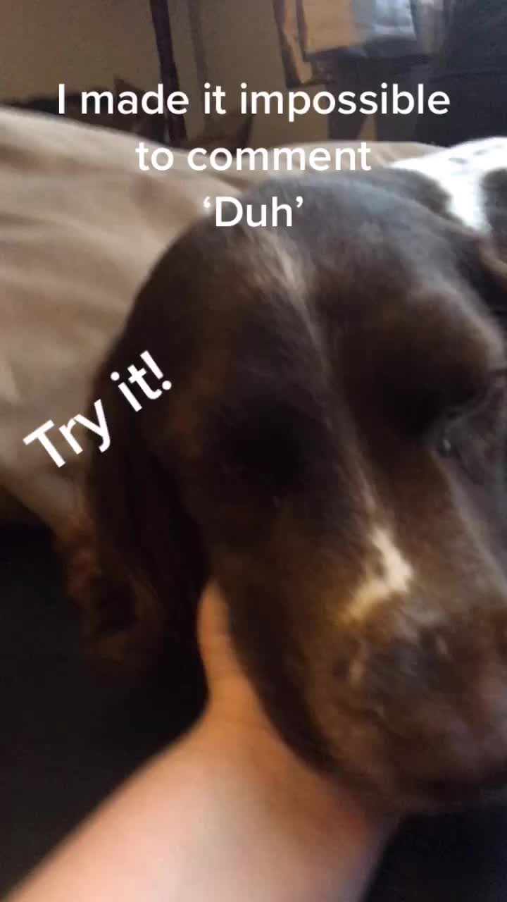 @🐶Molly🐶