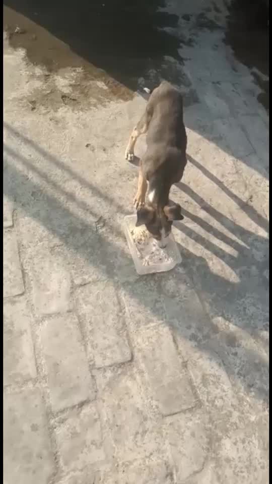 @Prabhuti shukla