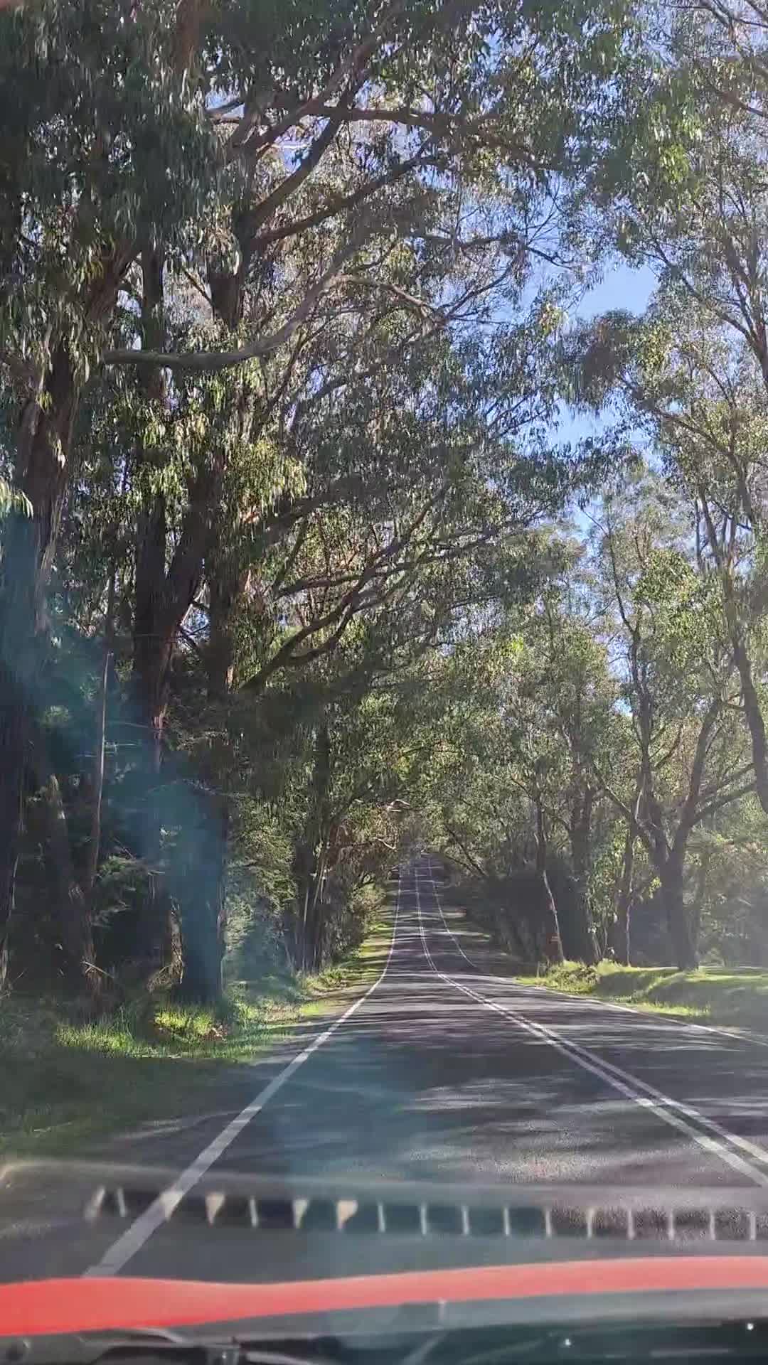 @chungku