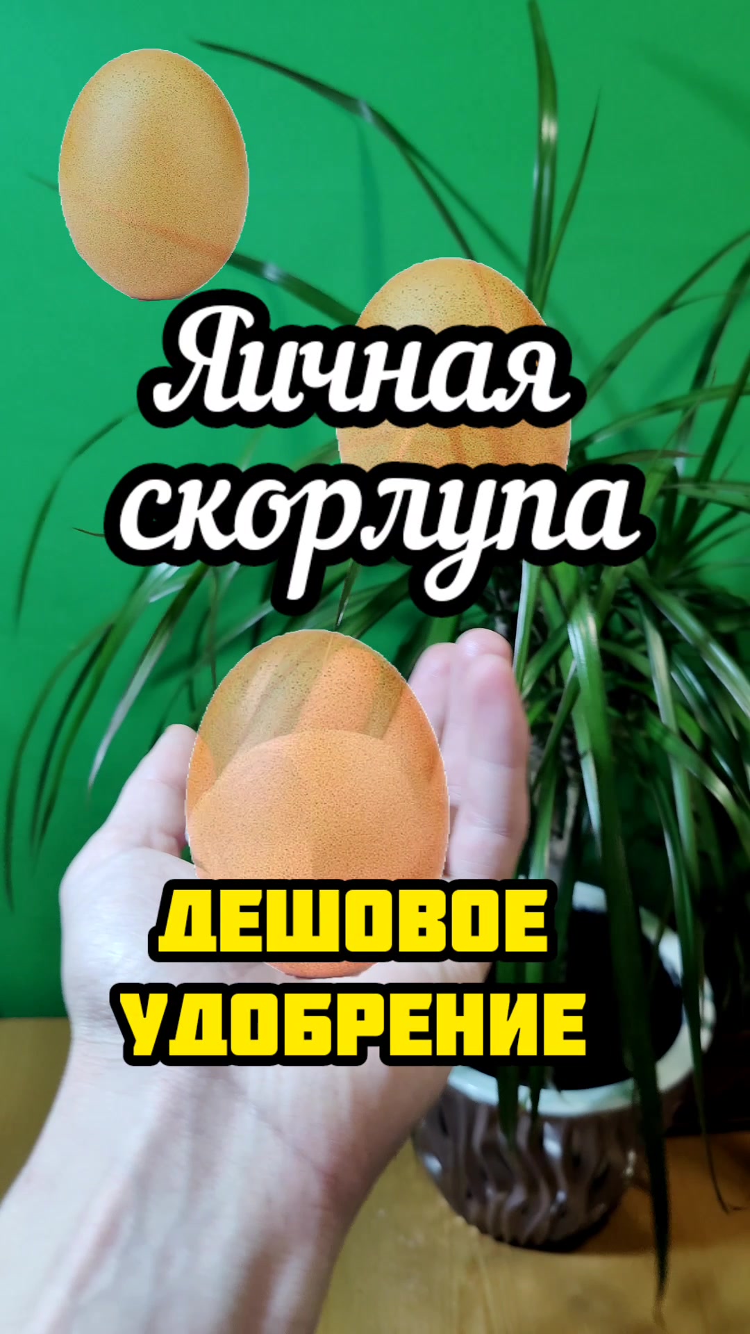 @Sad