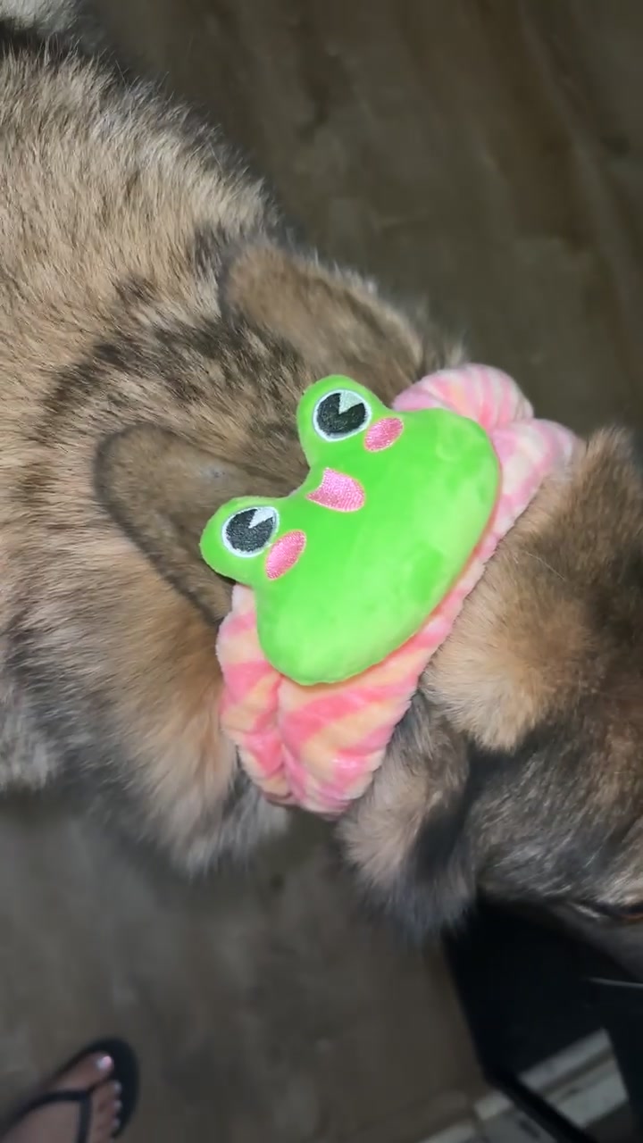 @Repti.snoot