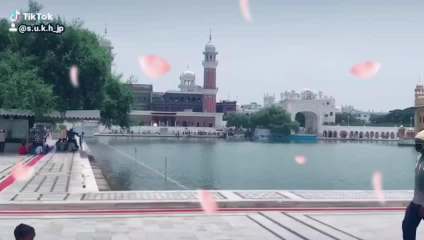 @s.u.k.h_jp