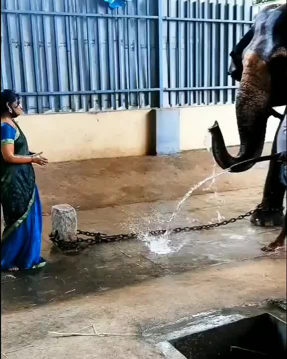 @Lakshmi