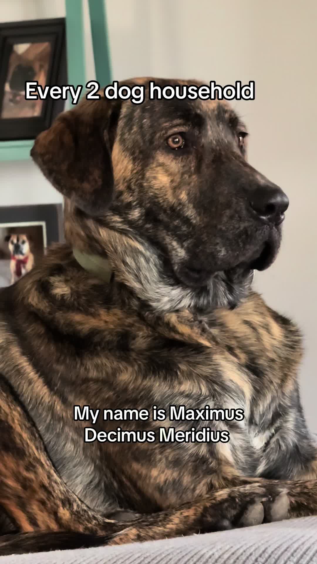 @Alex