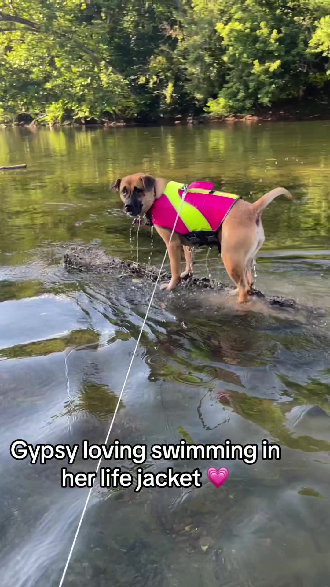 @Tara & Gypsy