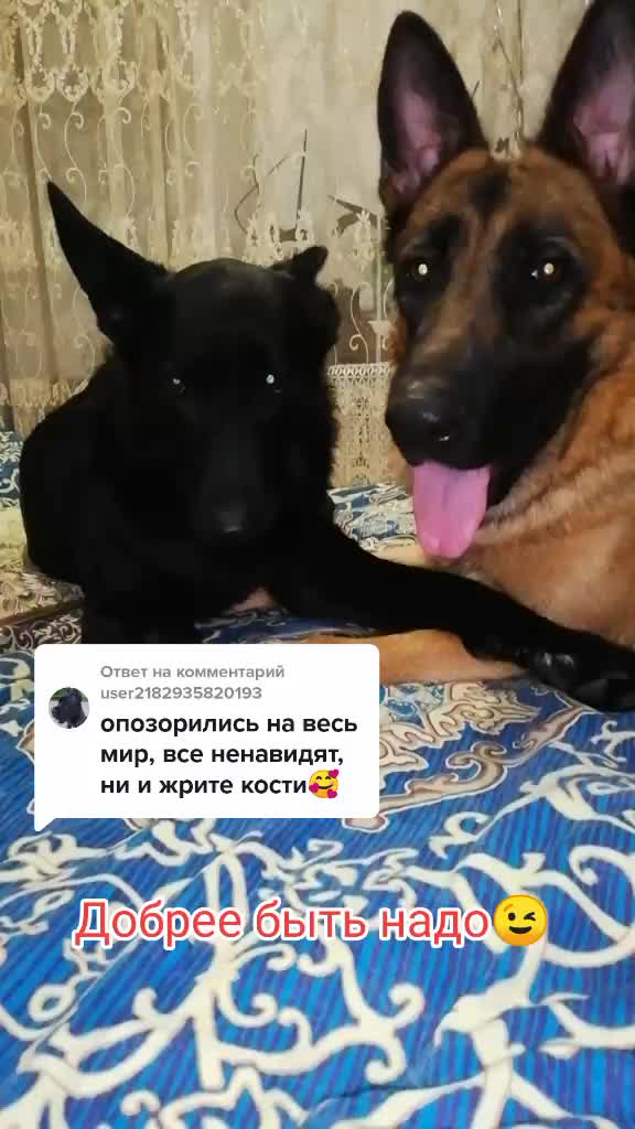 @Irinagerasimova