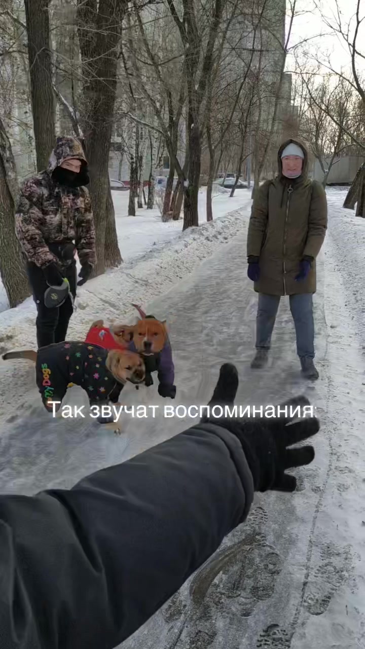 @Абу Саныч и Холли Ольговна