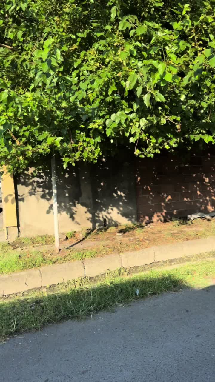 @Иско