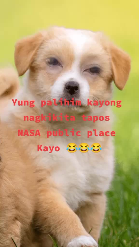 @Inday jo