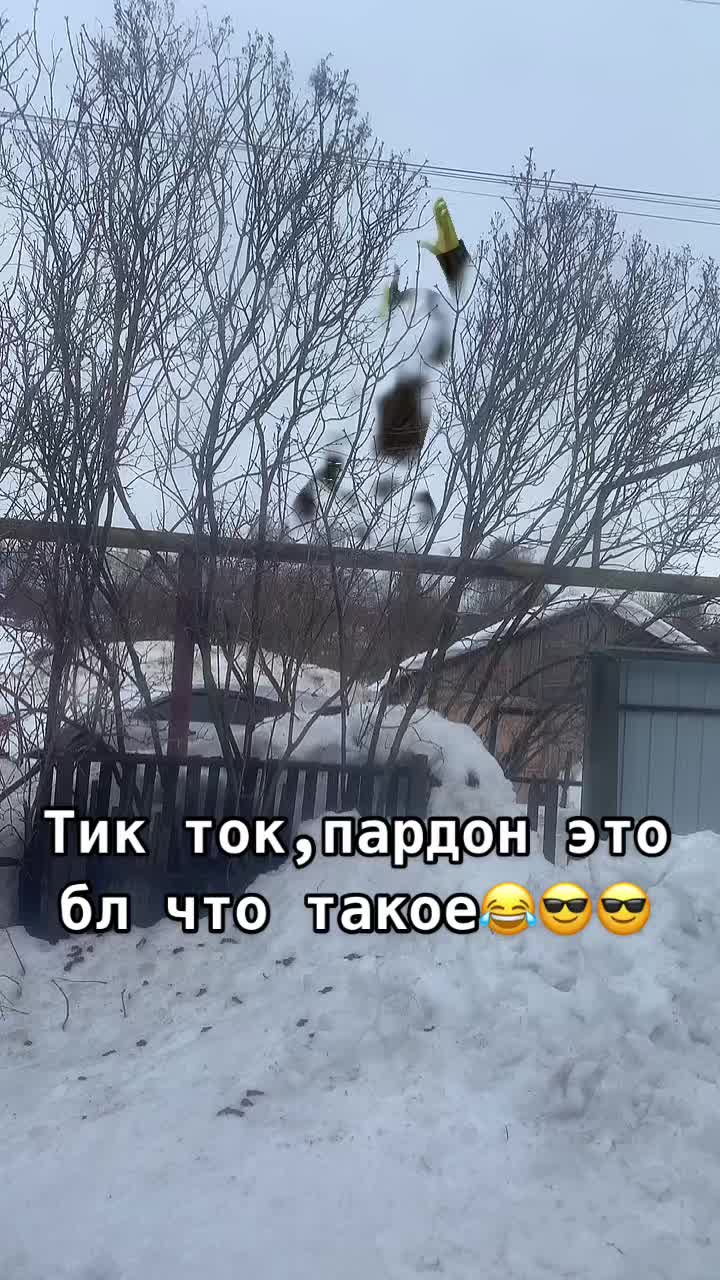 @Алина