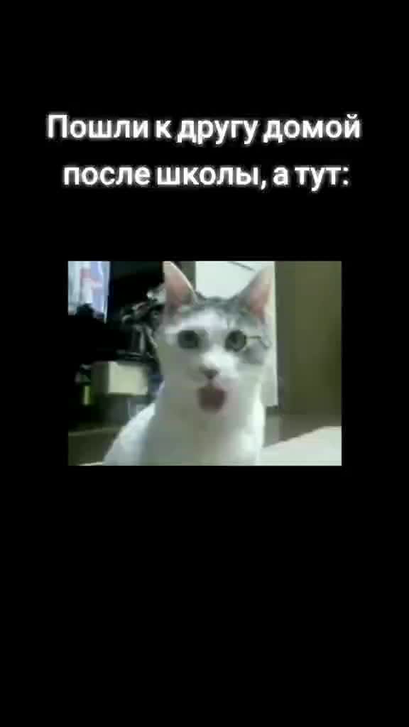 @Мастурбек Сексибеков