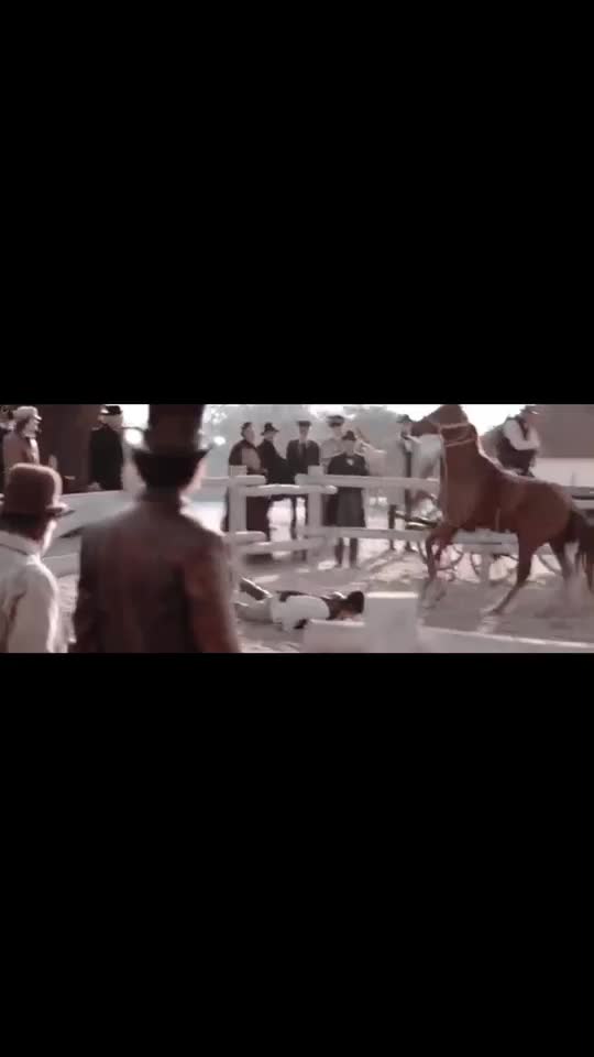 @🖇horses🖇