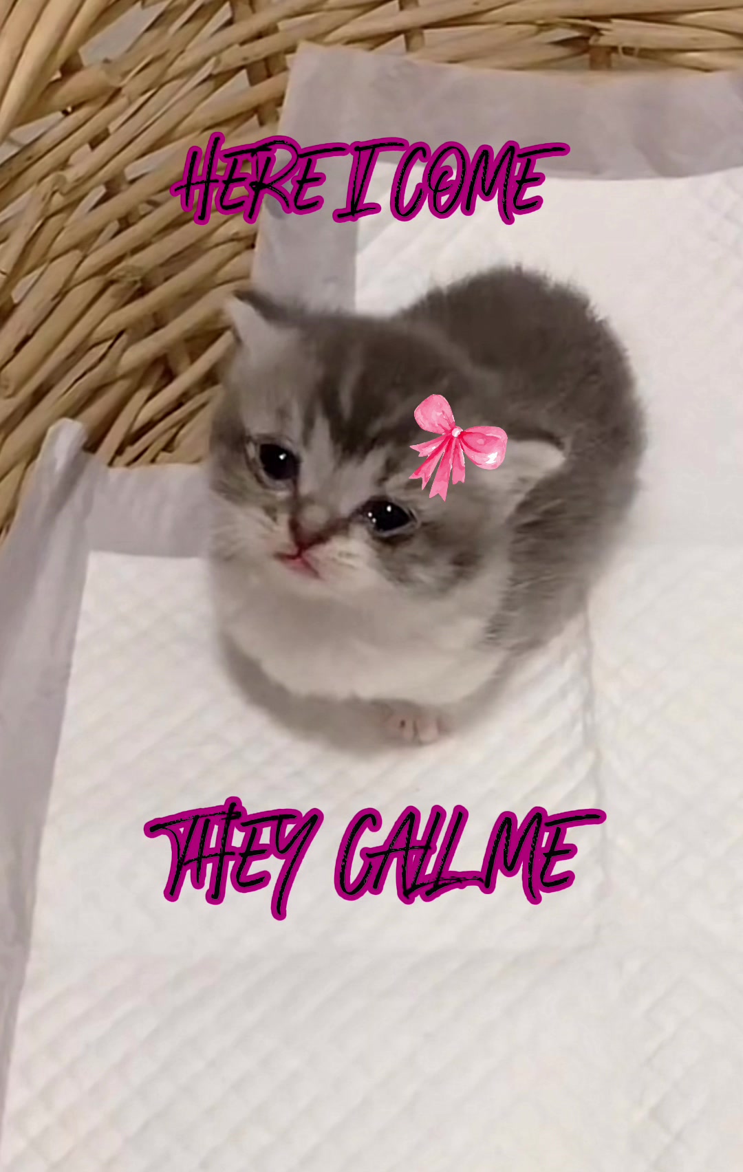 @Watch Hololive