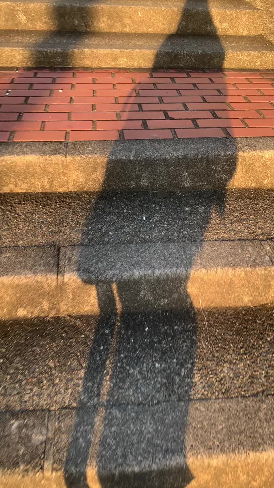 @Pejuang Otodidak 🇯🇵
