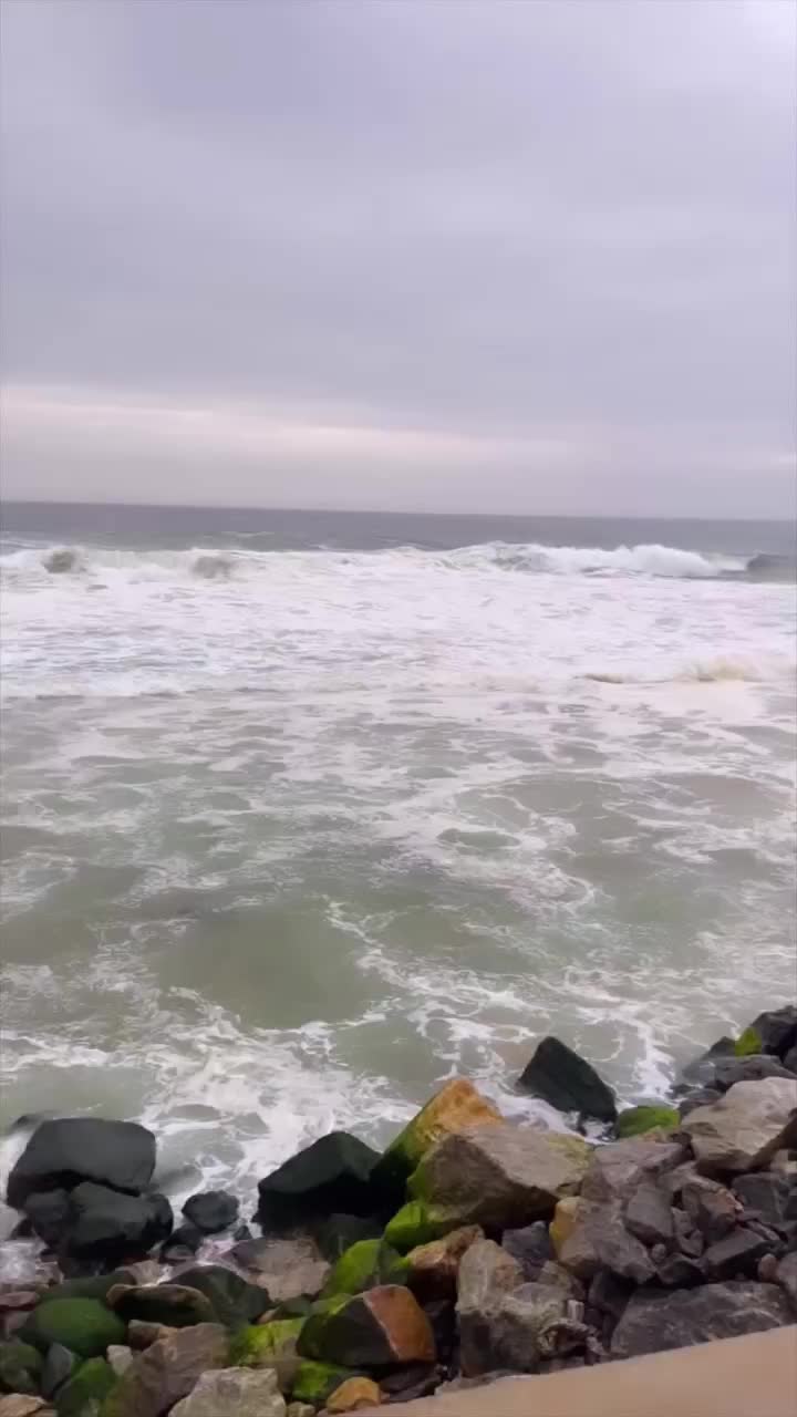 @shafiarkani🇲🇲🇲🇾🇧🇩🇵🇰