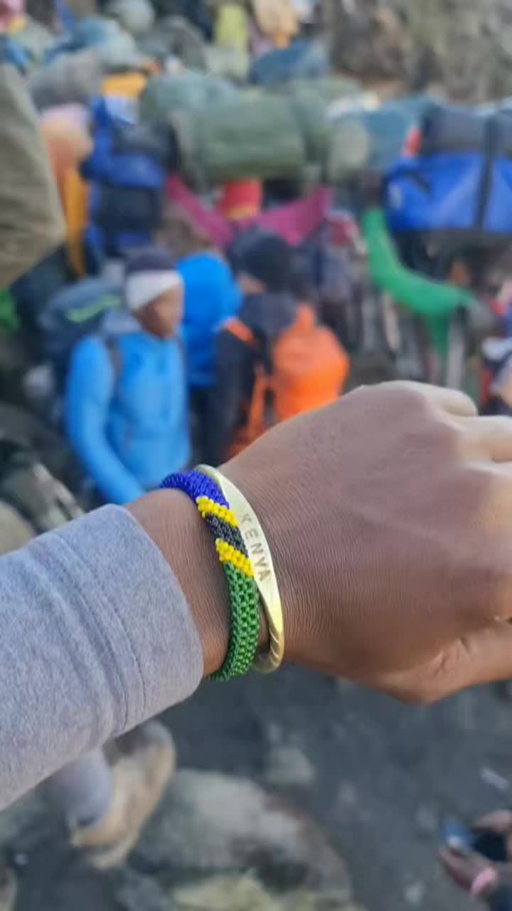 @Reborn Rafiki