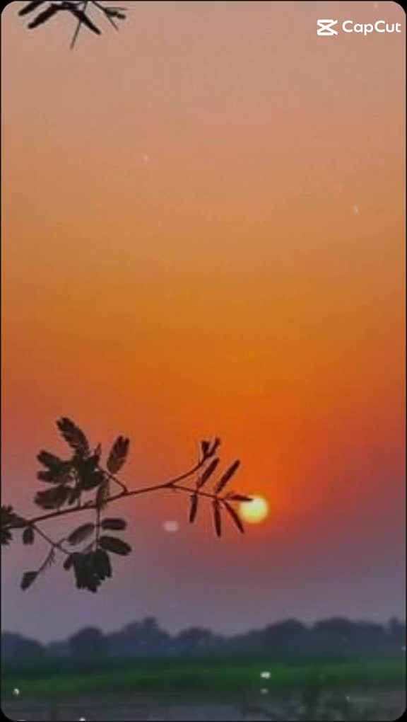 @Punjabi kuri...