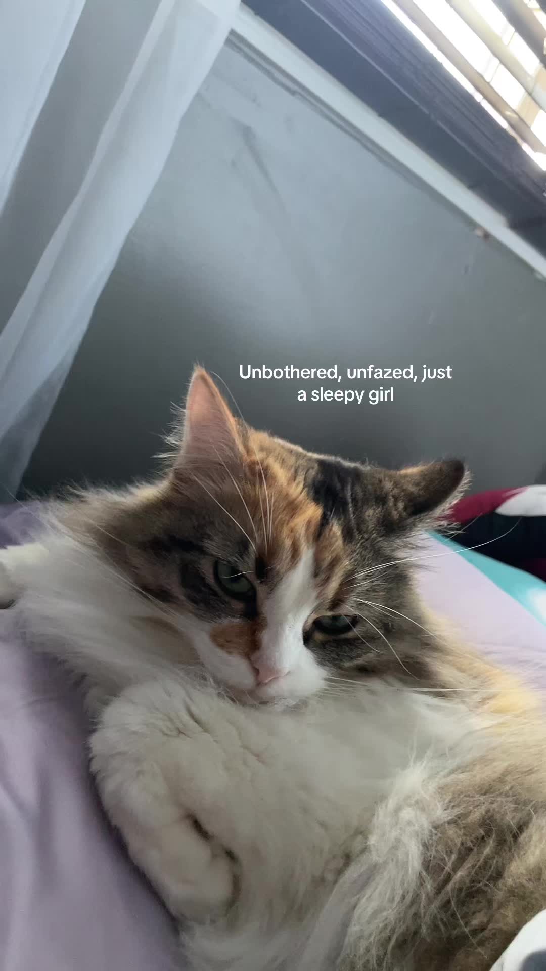 @ndendrew