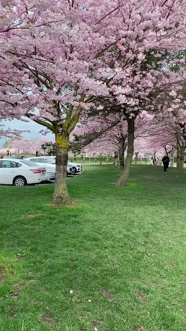 @jenicar20