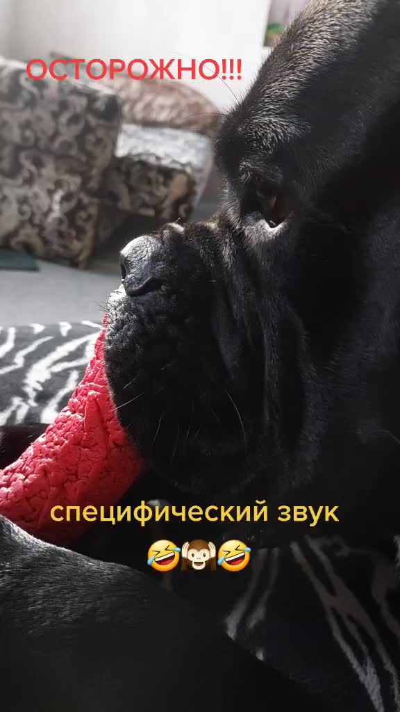 @Radychka33