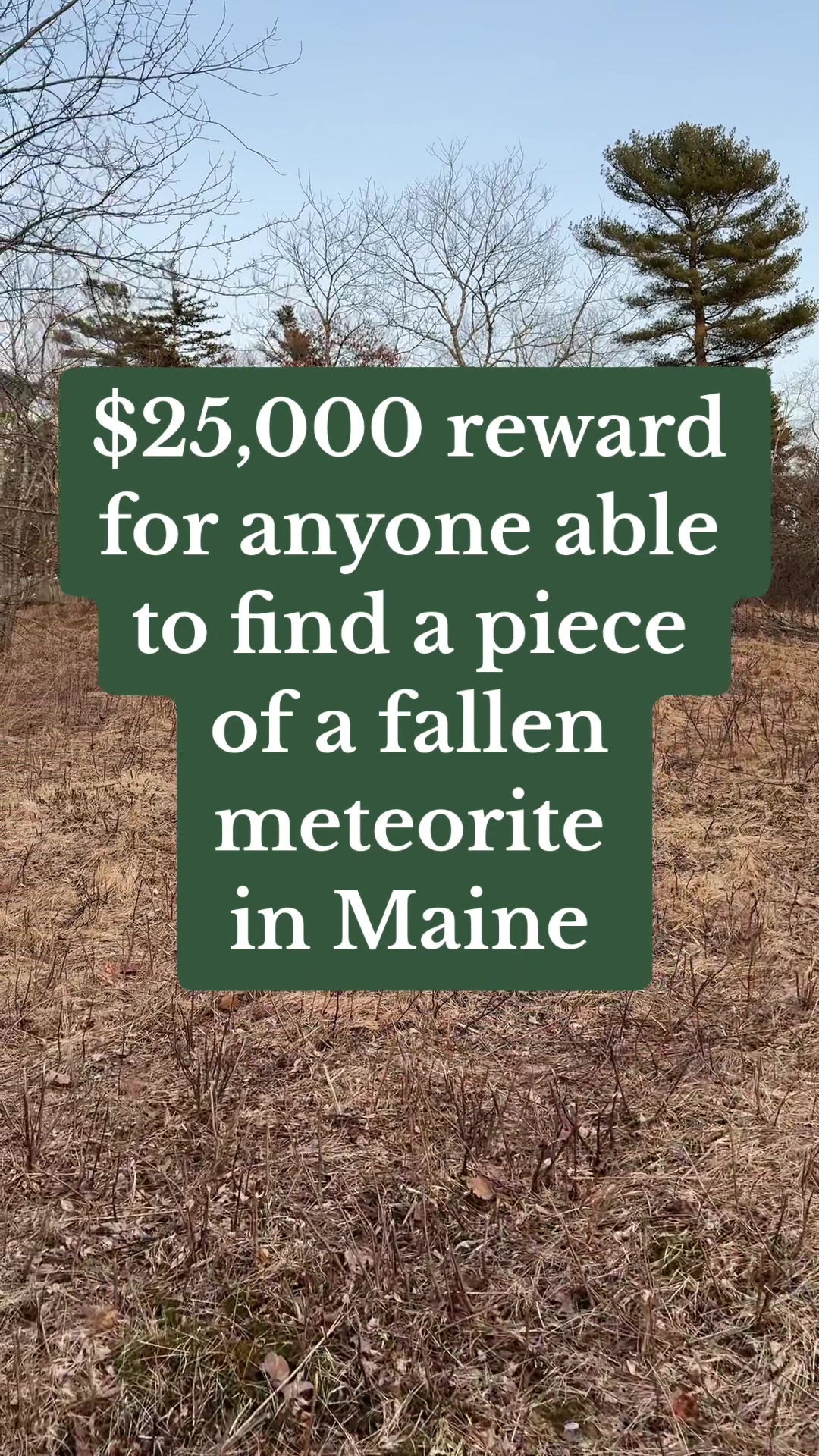 @a Maine man