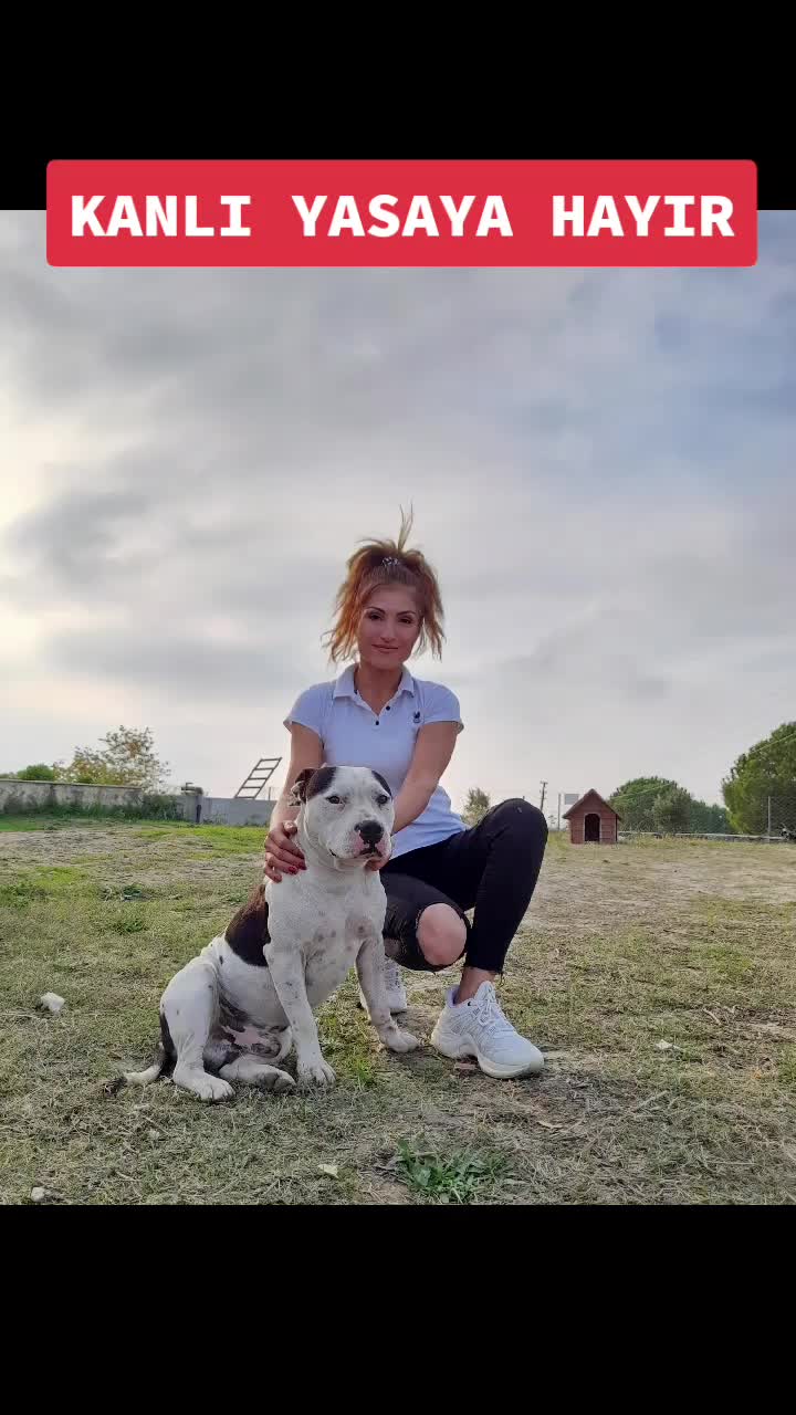 @Sevgi