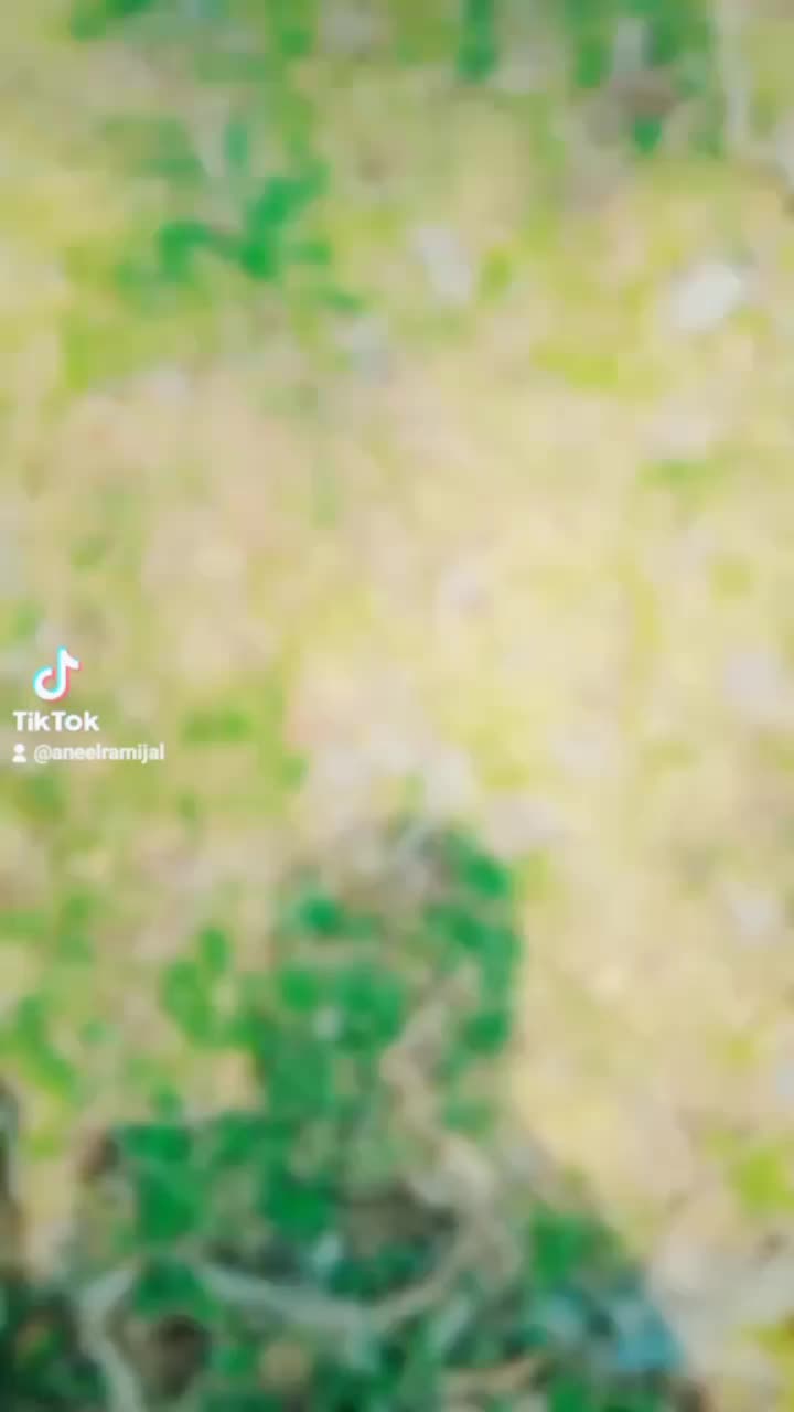 @अनिल अन्जान🇳🇵🇳🇵🇧🇳
