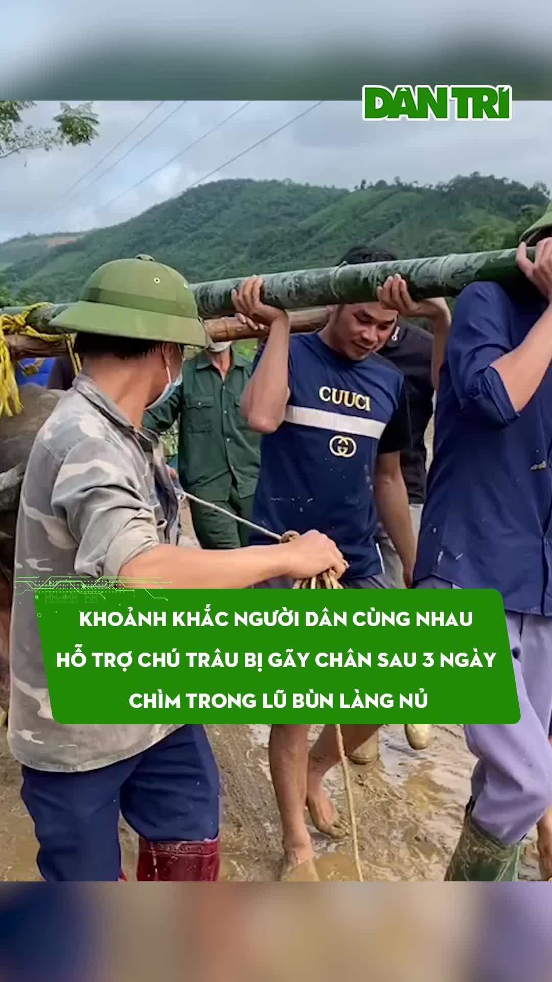 @D&acirc;n Tr&iacute;