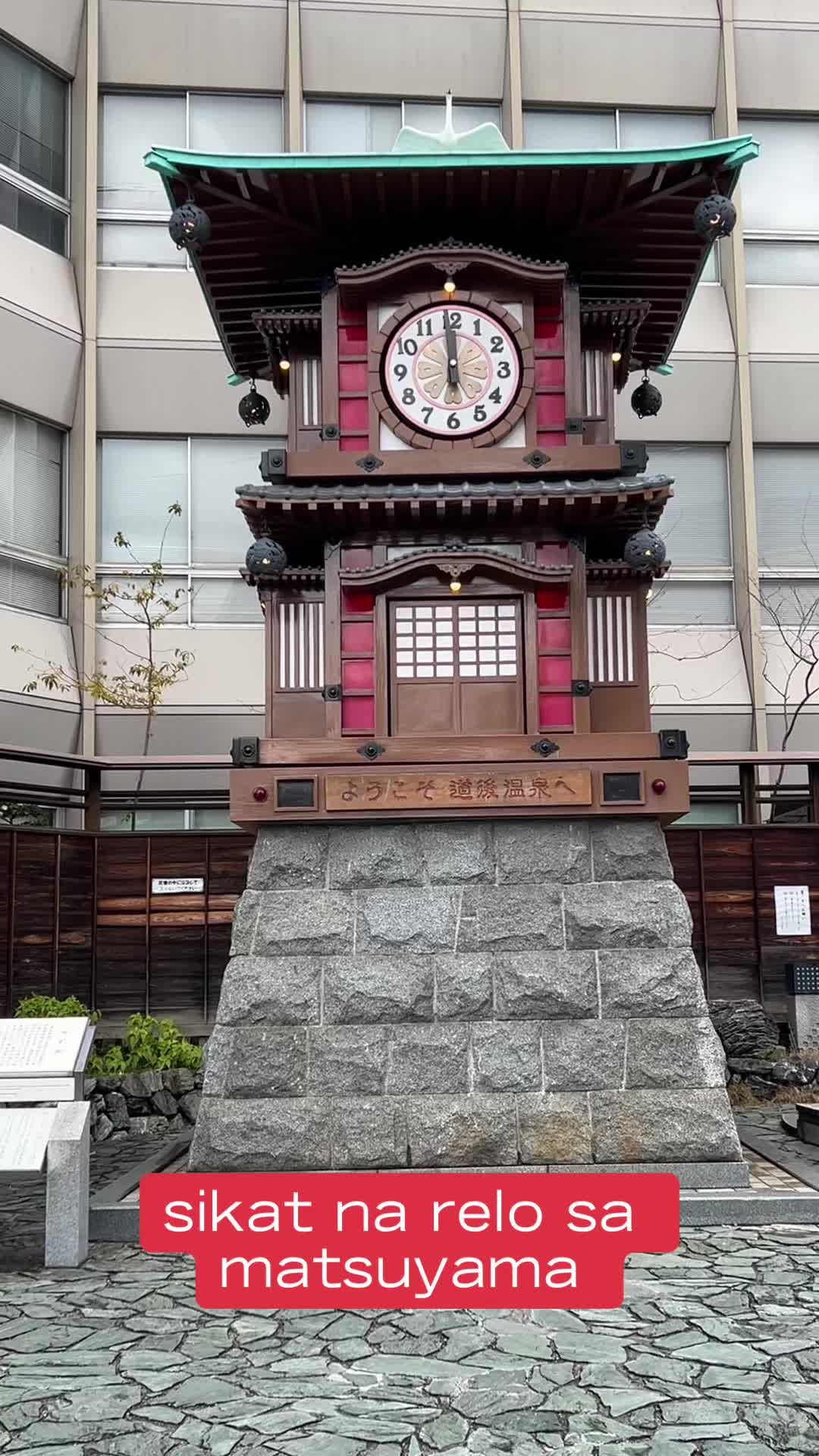 @トウバンゴ アリザ