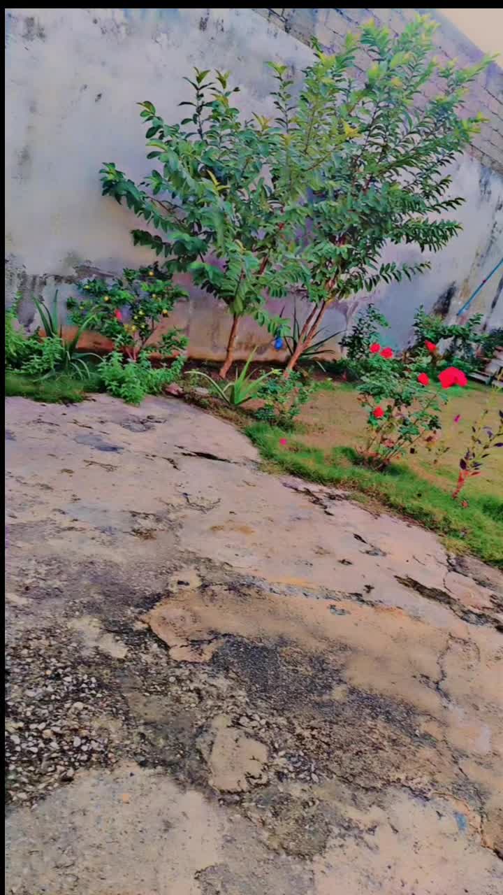 @ア𝑟&iuml;ϞcᏋ ƁⲉꊰᾰŕᏯ𝔞