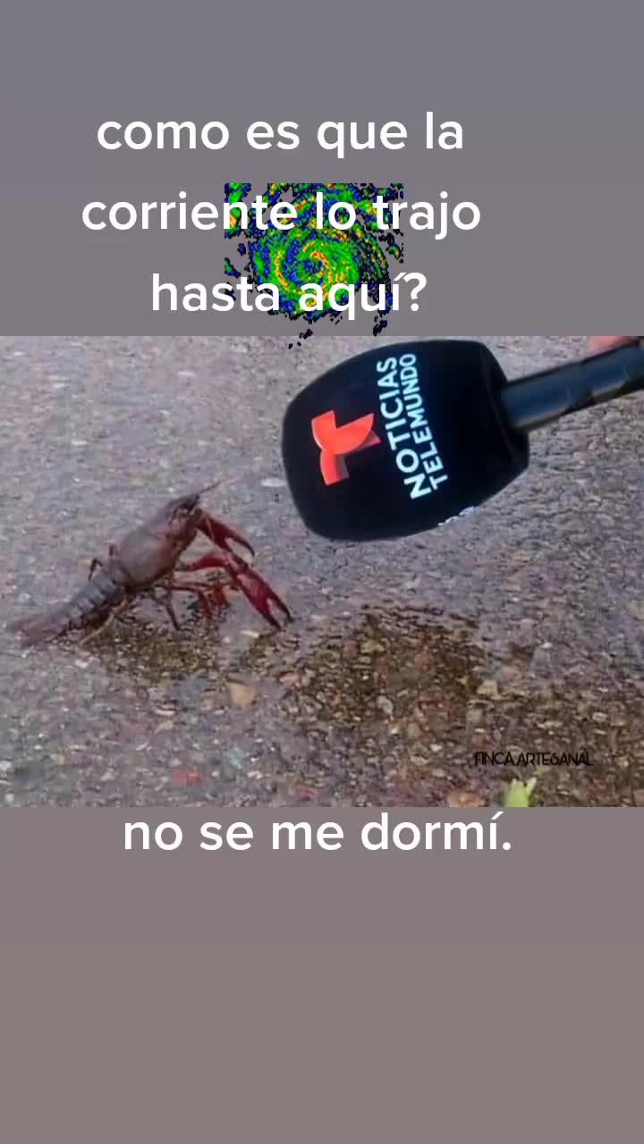 @Carlos Torres