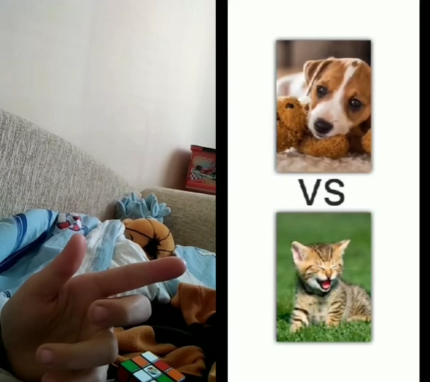 @jdjdjdhdhf