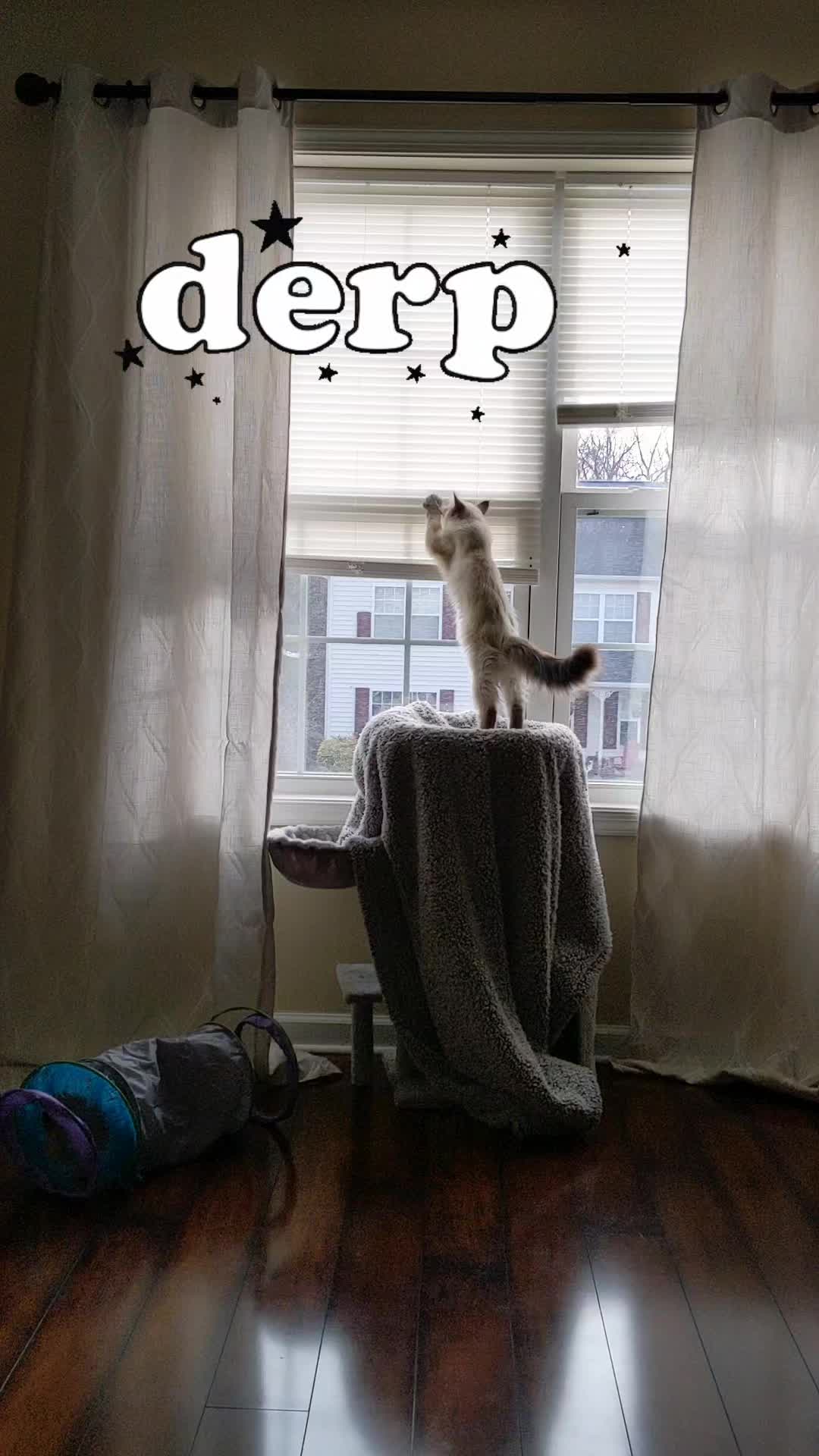 @Murdermittens