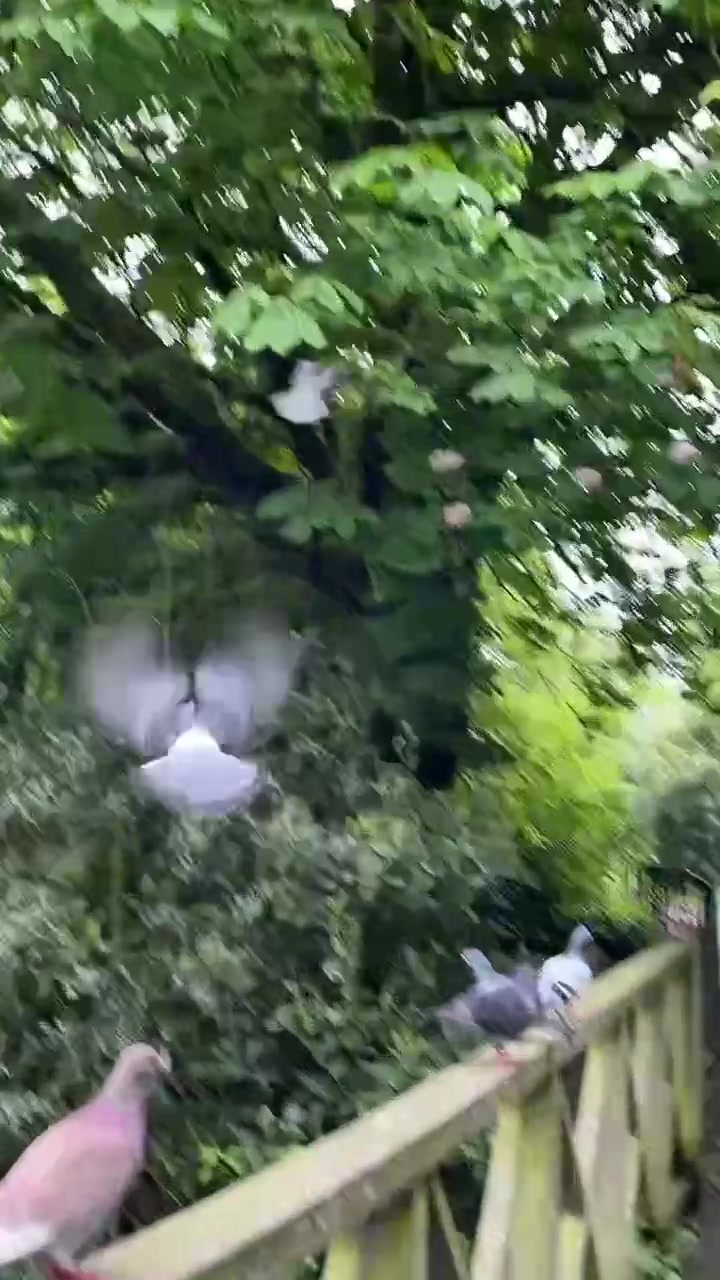 @Zoe🕺🏻❤️&zwj;🔥